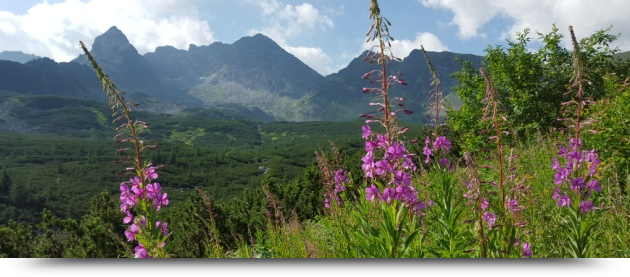 Atrakcje Turystyczne Zakopane