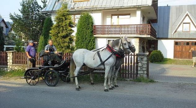 Pokoje Gościnne Ząb Zakopane