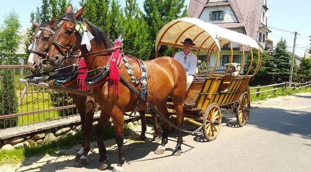 Pokoje Gościnne U Halinki