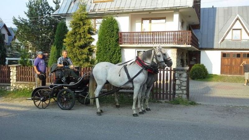 Pokoje Gościnne U Halinki