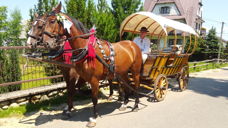 Pokoje Gościnne U Halinki