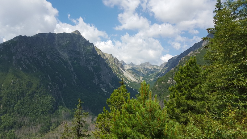 Pokoje Gościnne U Halinki